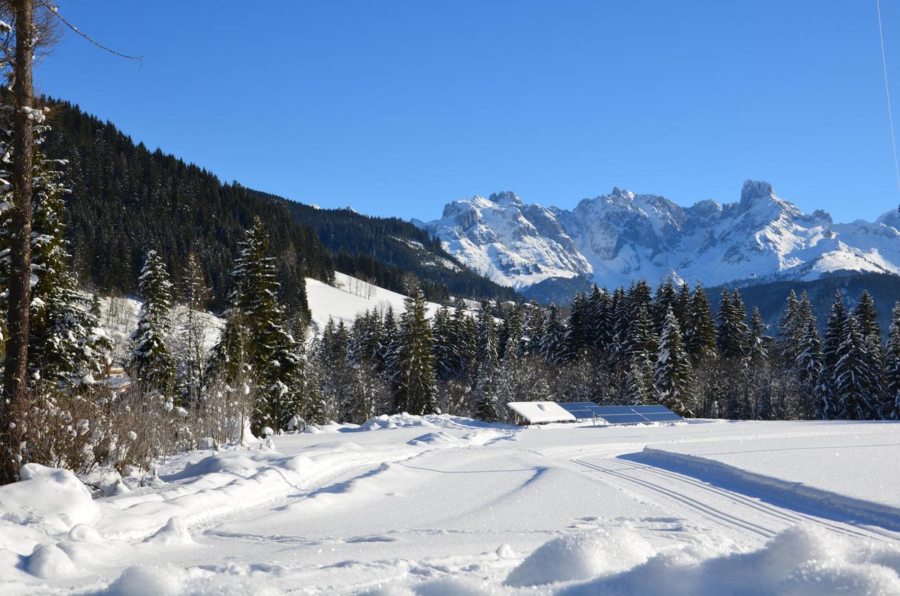 Apartments Alpenfrieden Sankt Martin am Tennengebirge Exteriör bild